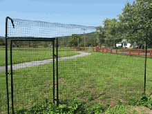 6' x 4' Cat Fence Access Gate