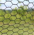 Steel Web Rodent Control Fence Close Up