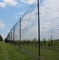 8 x 100 Millennium Deer Fence