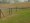 4' x 100' Standard Deer Fence