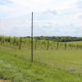 10' Heavy Duty Deer Fence Posts