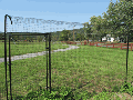 6' x 6' Cat Fence Gate