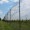 8 x 100 Millennium Deer Fence