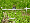 Round Tightener Tool For Deer Fencing