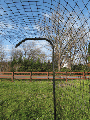 Kitty Corral Cat Fence Post- 7.5'