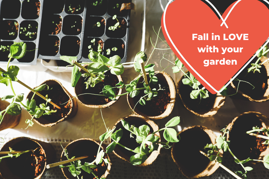 Fall in Love with Your Garden